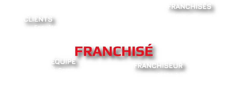 digital-intuition-franchise